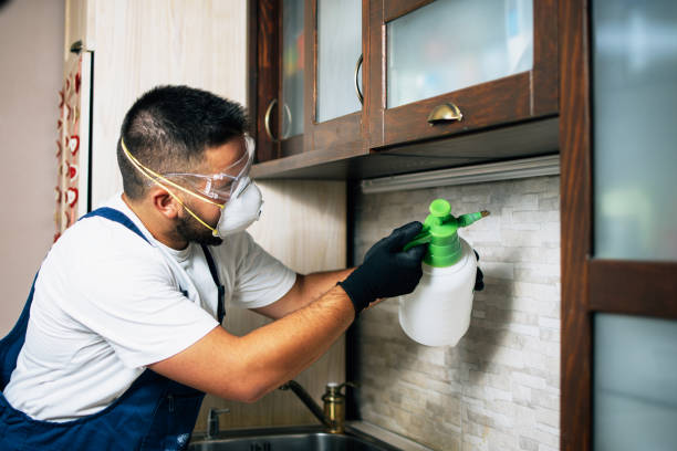 Best Pest Removal Services  in Fleetwood, PA