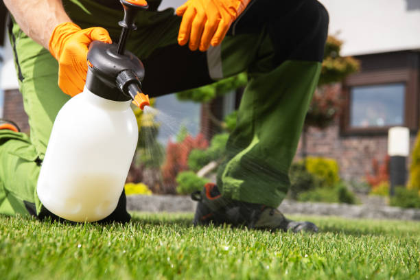 Professional Pest Control in Fleetwood, PA