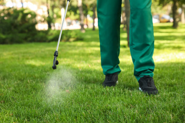 Best Affordable Pest Control Services  in Fleetwood, PA