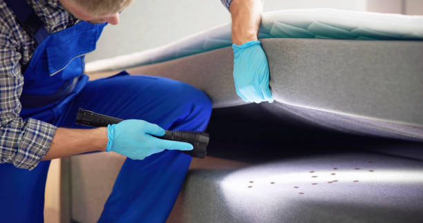 Best Residential Pest Control  in Fleetwood, PA