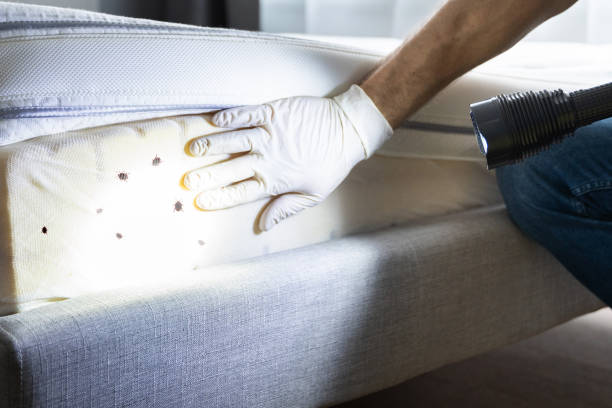Best Pest Control for Businesses  in Fleetwood, PA