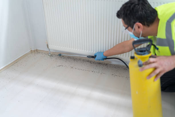 Best Bed Bug Extermination  in Fleetwood, PA