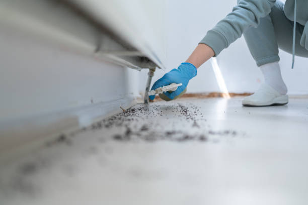 Best Pest Control Near Me  in Fleetwood, PA