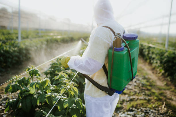 Best Wildlife Control Services  in Fleetwood, PA